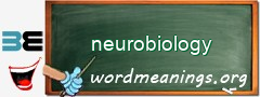 WordMeaning blackboard for neurobiology